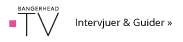 Bloggerskornas favoriter