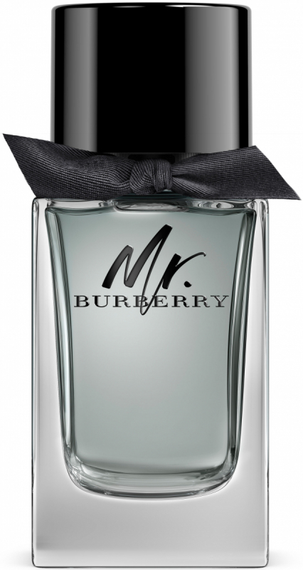 Burberry Mr Burberry EdT (100ml)
