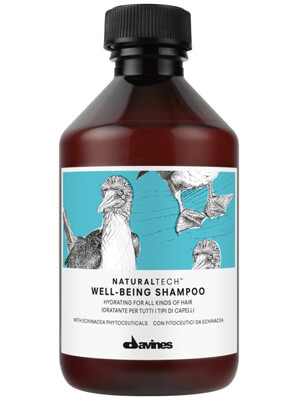 Davines Naturaltech Well Being Shampoo (250ml)