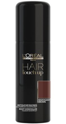L'Oréal Professionnel Hair Touch Up