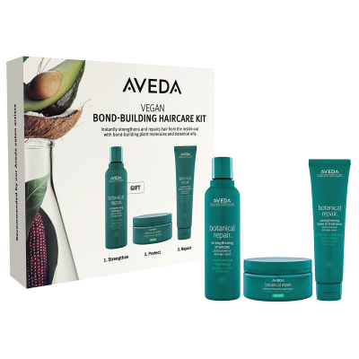 Aveda Botanical Repair Bond Building Haircare Kit