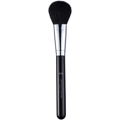 Anastasia Beverly Hills Brush A19