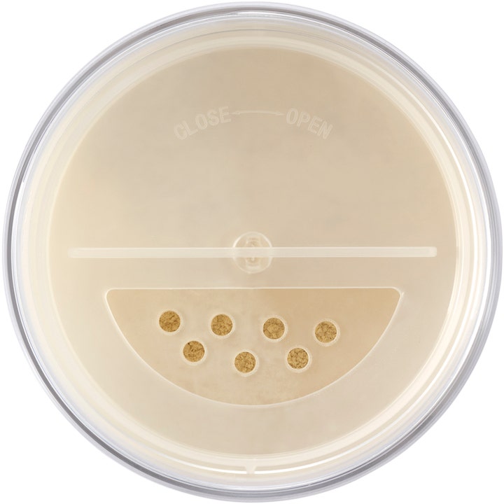 The Loose Setting Translucent Powder