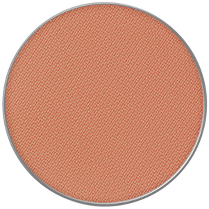 Powder Kiss Eye Shadow Pro Pale