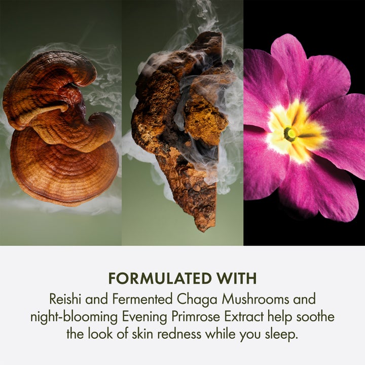 Origins Dr. Weil Mega Mushroom Overnight Recovery Cream 50 ml lugnande nattkräm med reishi, chaga och nattljusextrakt.