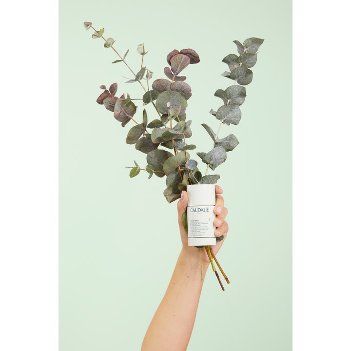 Caudalie Vinofresh Stick Deodorant 50 ml naturlig aluminiumfri deodorant hålls i en hand med eukalyptusblad.