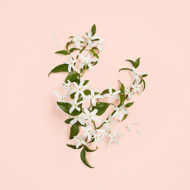 Bloom Ambrosia d'Oro