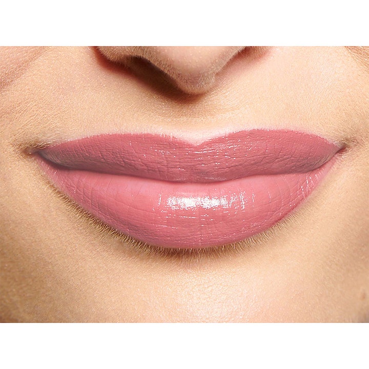 Perfect Moisture Lipstick