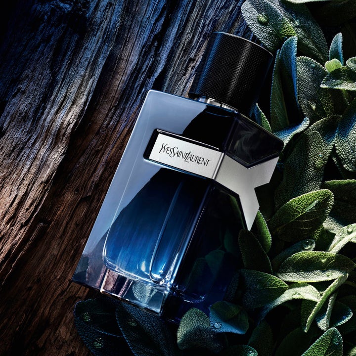 Strong Scents, Strong Dad