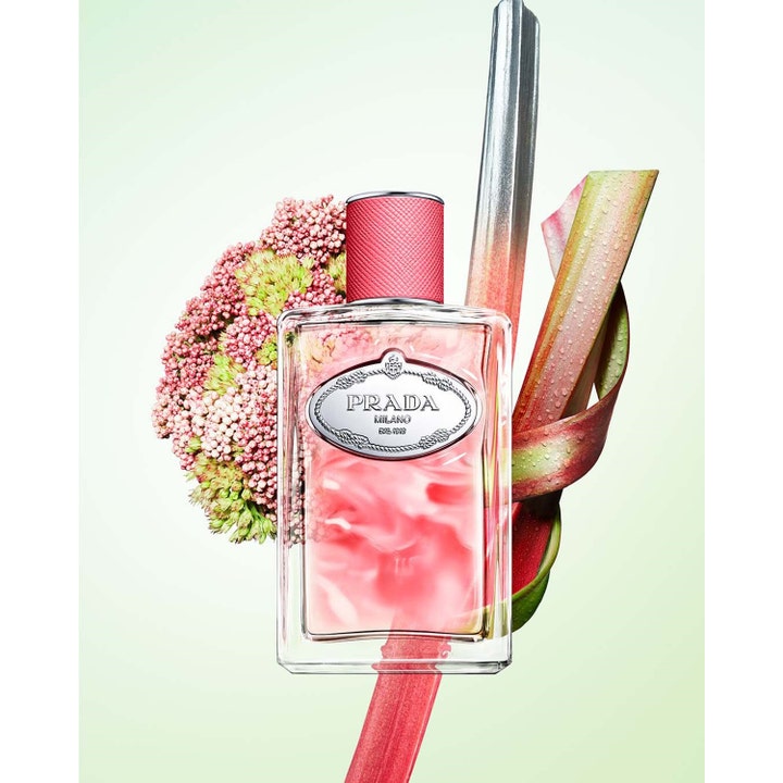 Infusion Rhubarbe