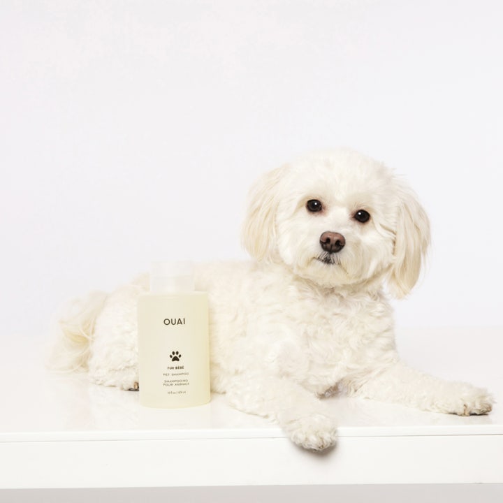 Fur Bébé Pet Shampoo