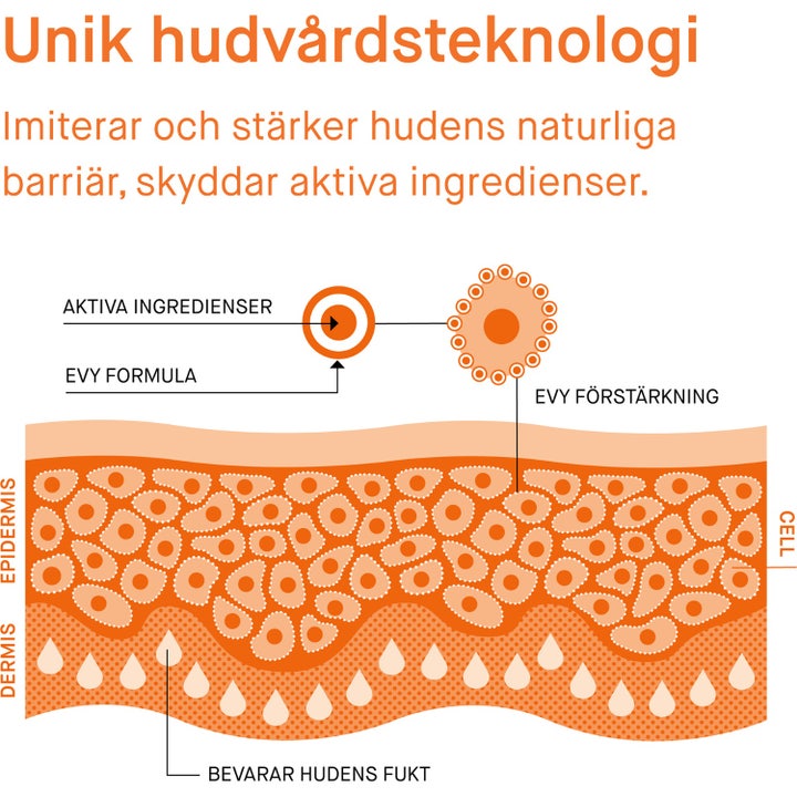 EVY Technology Daily UV Face 75 ml evy solskydd ansikte diagram som visar membrane technology i hudens lager