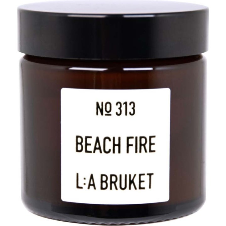 313 Beach Fire
