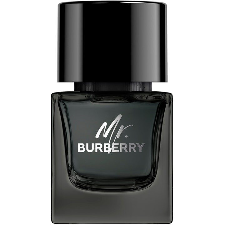 Burberry Mr Burberry Eau de Parfum 50 ml sensuell parfym för herr i mörk glasflaska med stort svart lock