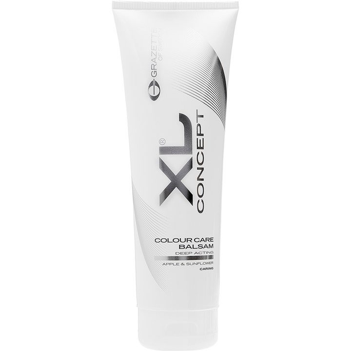 XL Concept