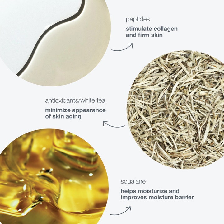 Dermalogica Dynamic Skin Recovery 15 ml dagkräm visar ingredienser som peptider vitt te och återfuktande squalane