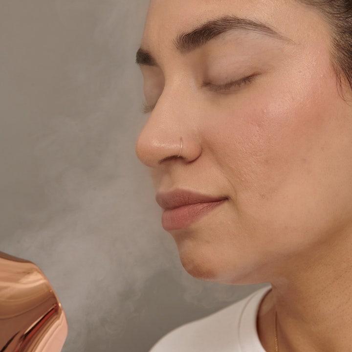 Pro Facial Steamer