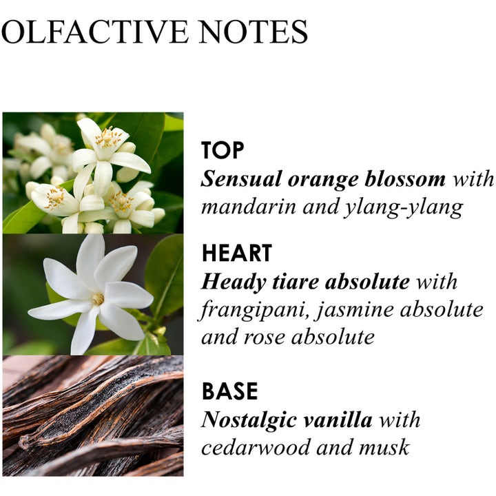 Molton Brown Flora Luminare 300 ml återfuktande handkräm visar doftnoter av apelsinblomma, tiare och vanilj i en översikt.