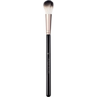 Anastasia Beverly Hills Brush A23