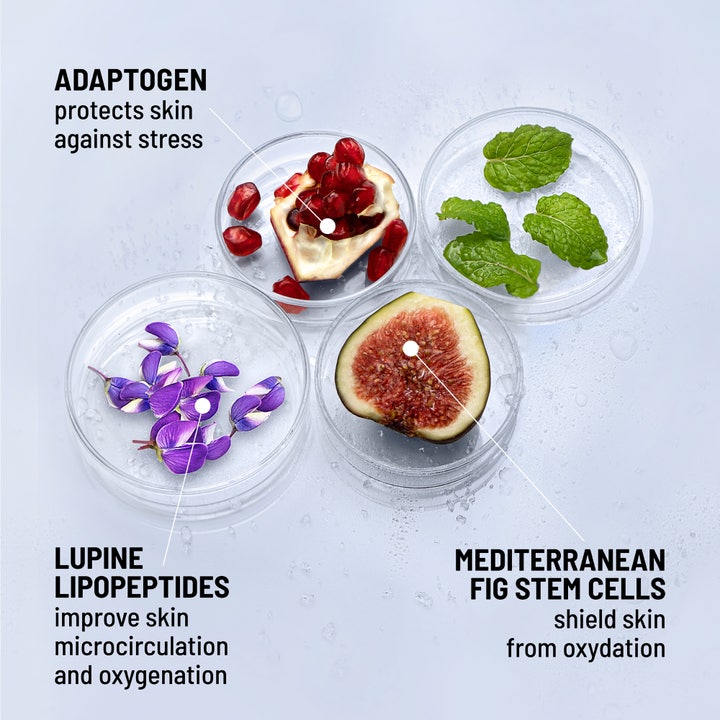Dr Brandt iD-STRESS Icy Energizing Gel Moisturizer 50 g, Dr Brandt kylande gel med fikon och lupinpeptider.