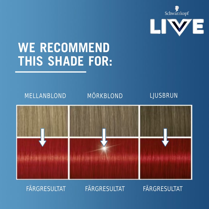 Live Intense Color
