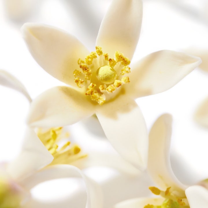 Huile Prodigieuse Neroli Dry Oil