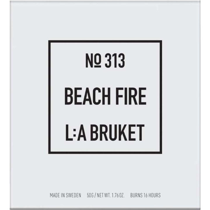 313 Beach Fire