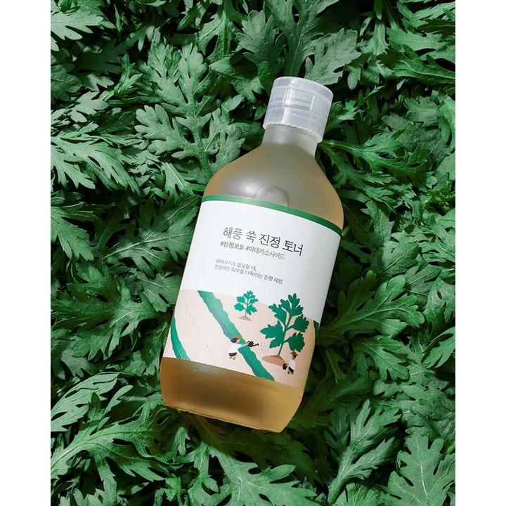 Round Lab Mugwort Calming Toner 300 ml lugnande ansiktsvatten i flaska placerad på gröna gråboblad.