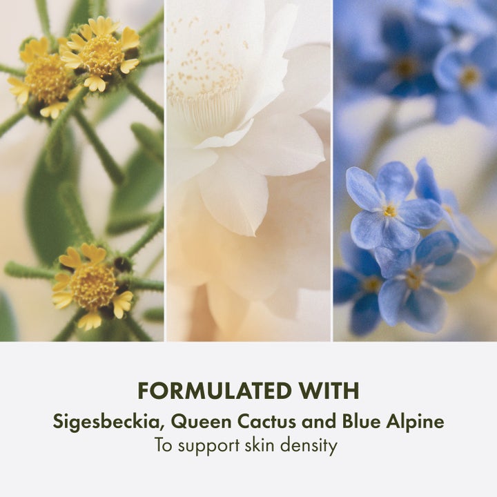 Origins Plantscription Triple Action Youth Cream 50 ml visar ingredienser som Sigesbeckia och Blue Alpine för fastare hy.