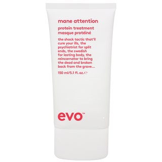 Evo Repair Mane Attention Protein Treatment