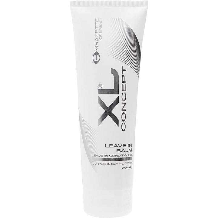 XL Concept