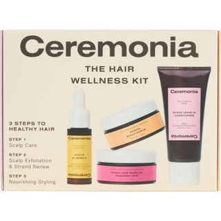 The Hair Welllness Kit