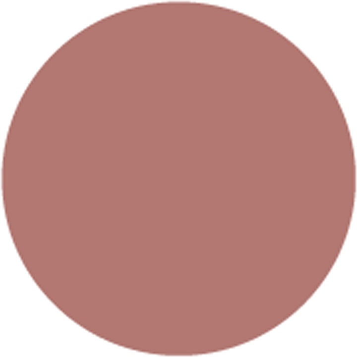 Beyond Matte™ Lip Stain