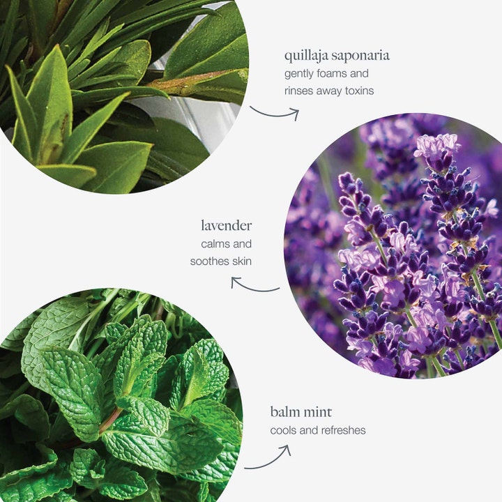 Dermalogica Special Cleansing Gel 500 ml rengöringsgel med lugnande lavendel och svalkande balm mint som rengör på djupet