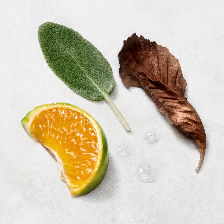 Giorgio Armani Acqua di Giò Eau de Parfum 50 ml fräsch herrparfym som visar basnoter av patchouli och vetiver