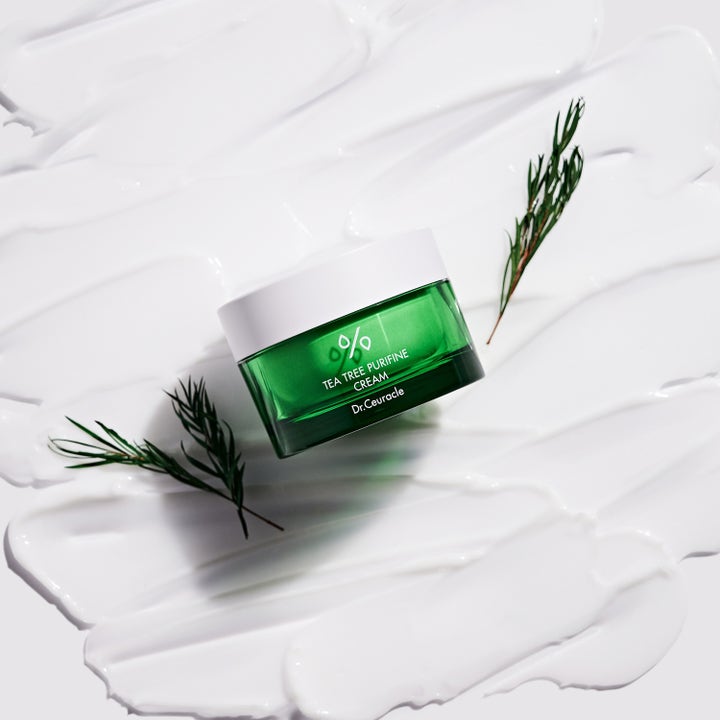 Dr. Ceuracle Tea Tree Purifine Cream 50 g lugnande ansiktskräm i grön burk på krämig vit textur med kvistar