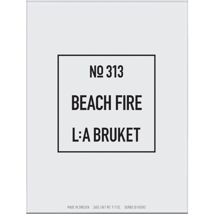 313 Beach Fire