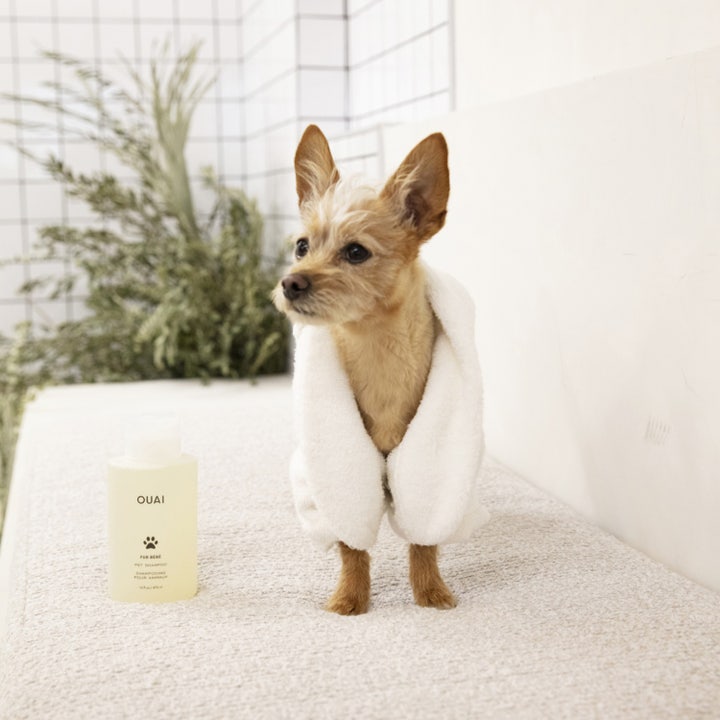 Fur Bébé Pet Shampoo