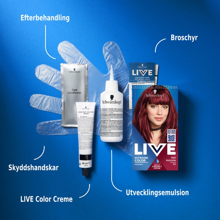 Live Intense Color