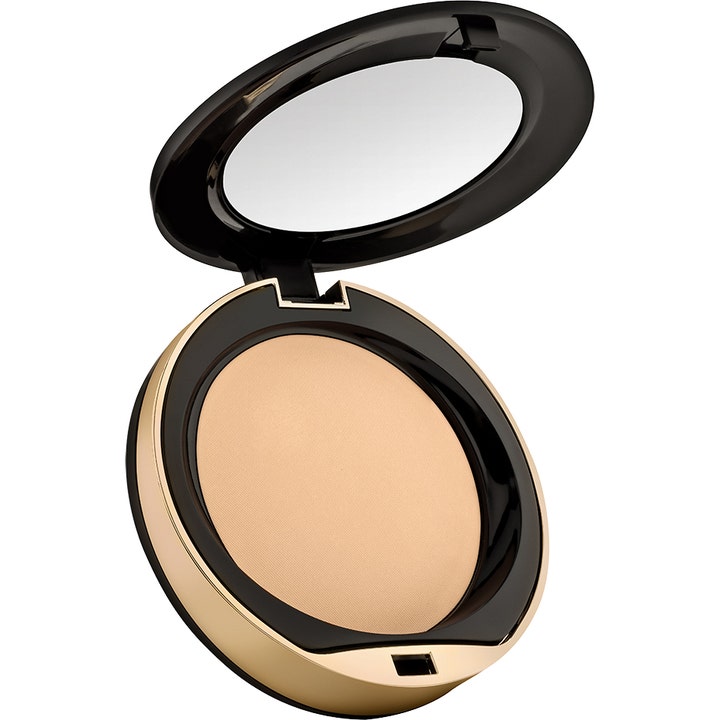 Conceal + Perfect Shine-Proof Powder