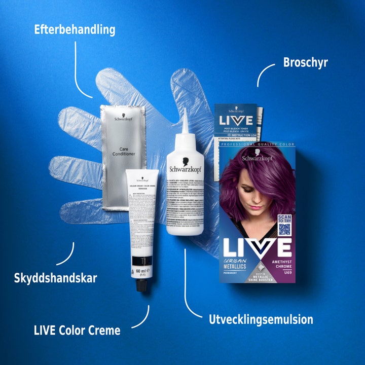 Live Intense Color