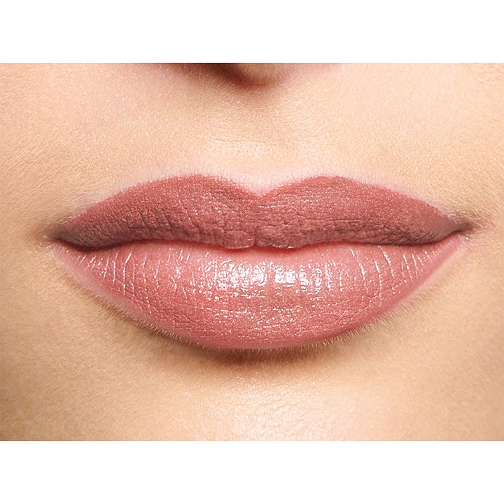 Perfect Moisture Lipstick