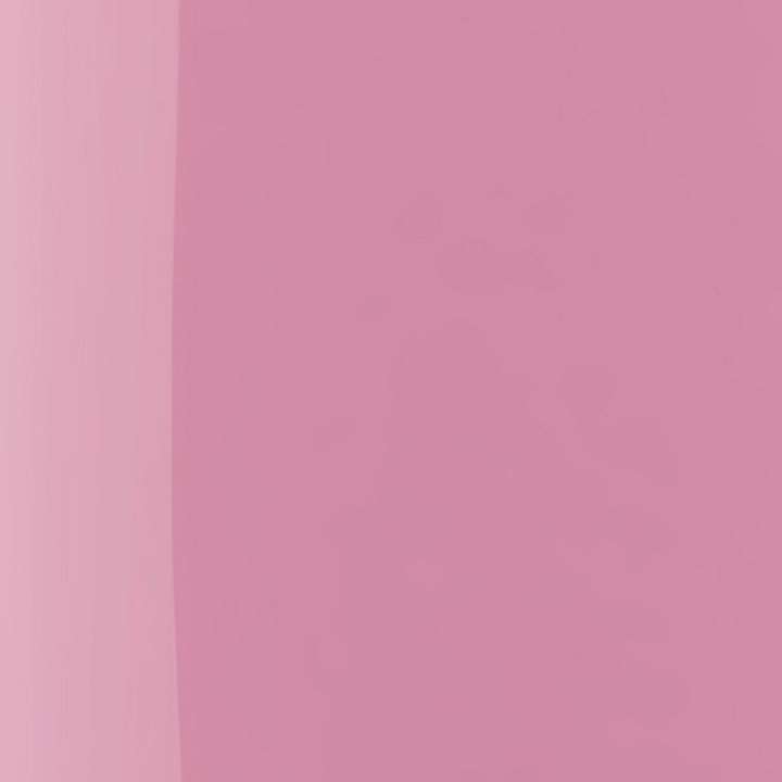 The Wonder Nail Polish Quick Dry & Longwear