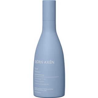 Björn Axén Repair Shampoo