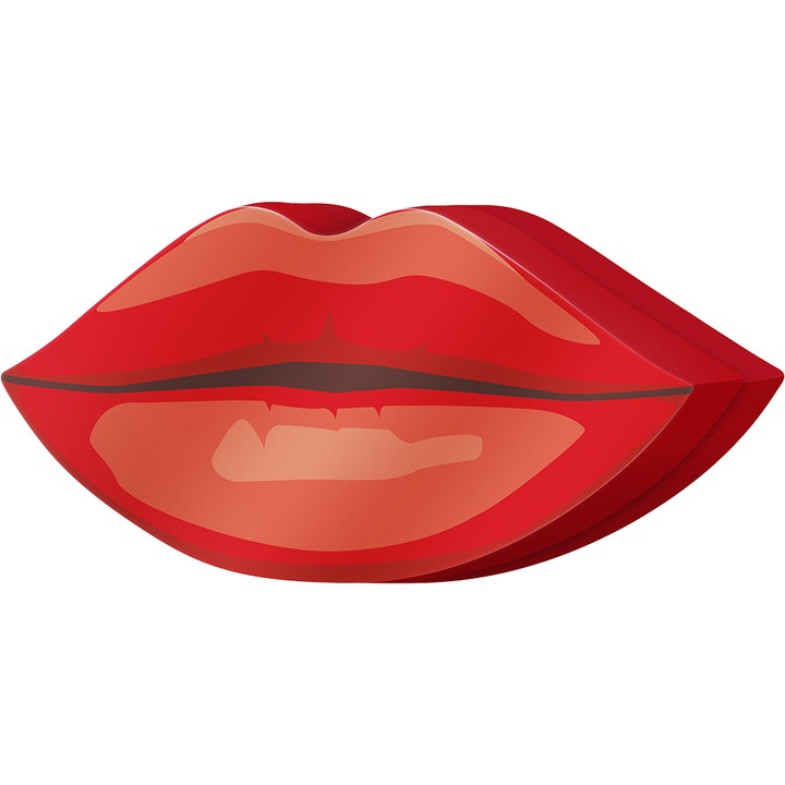 Perfect Lip Set