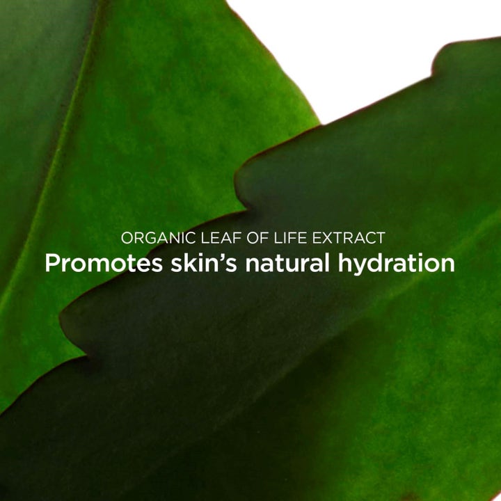 Clarins Fresh Scrub 50 ml ansiktsskrubb med Leaf of Life som främjar hudens naturliga återfuktning